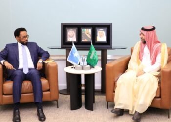 Finance Minister Holds Fruitful Talks with Saudi Deputy Finance Minister on Economic Cooperation