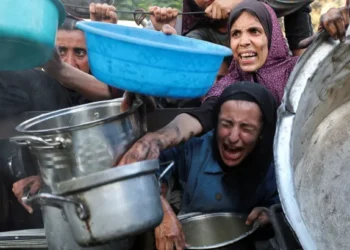 Israel kills more than 50 in Gaza as UN warns of ‘catastrophic hunger’