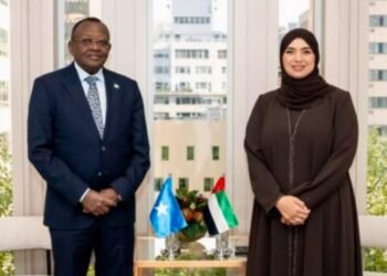 Minister of Environment meets his UAE counterpart in New York