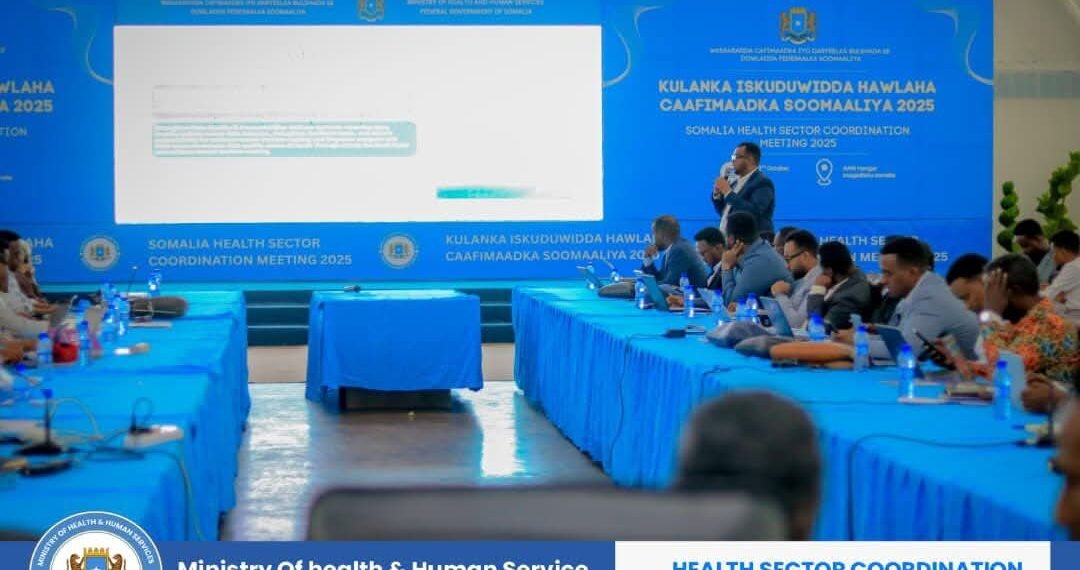 Shirkii isku-duwidda caafimaadka Soomaaliya oo la soo xiray 